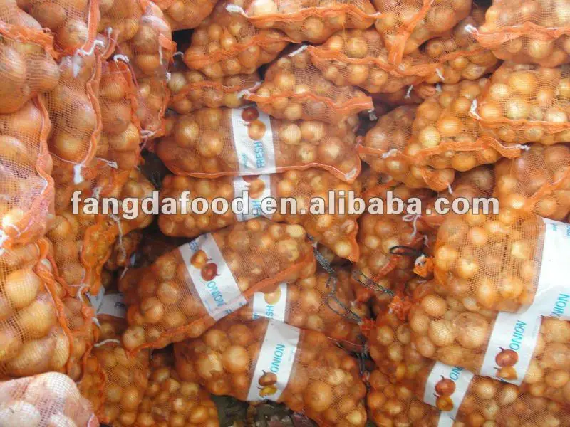 Kualitas tinggi bawang ke tengah Timur -Bawang segar-ID 