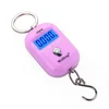 Top quality best price mini digital pocket luggage weighing scale lcd display electronic key chain portable scales