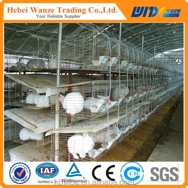 Easy Installation Commercial Rabbit Farming Cages / Rabbit Breeding