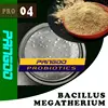 organic fertilizer---Bacillus megaterium to change soil quality