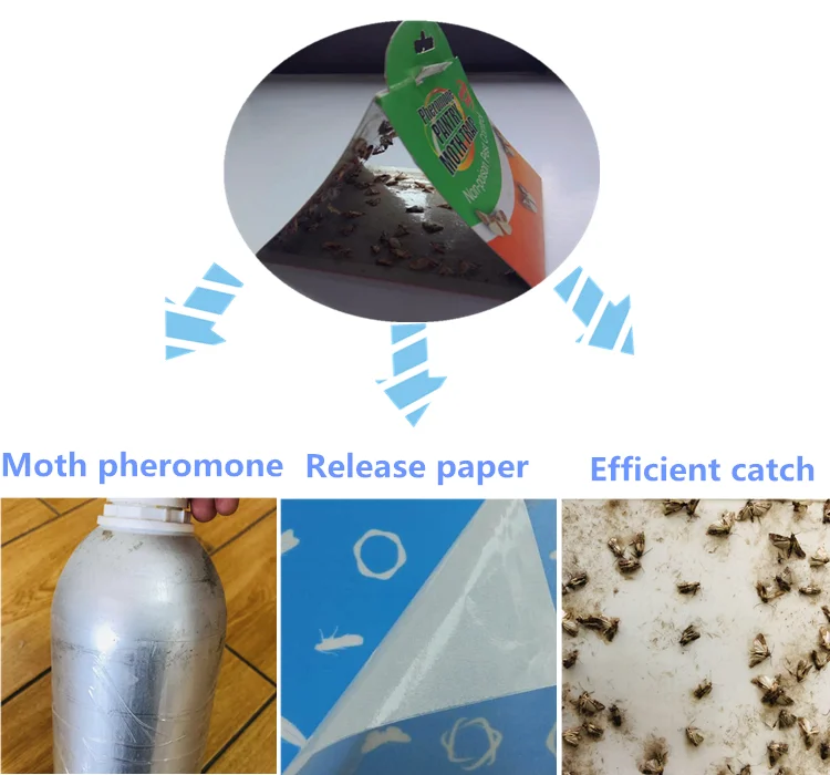 Amazon Hot Selling Moth Trap Pheromone Highefficiency Moth Killer