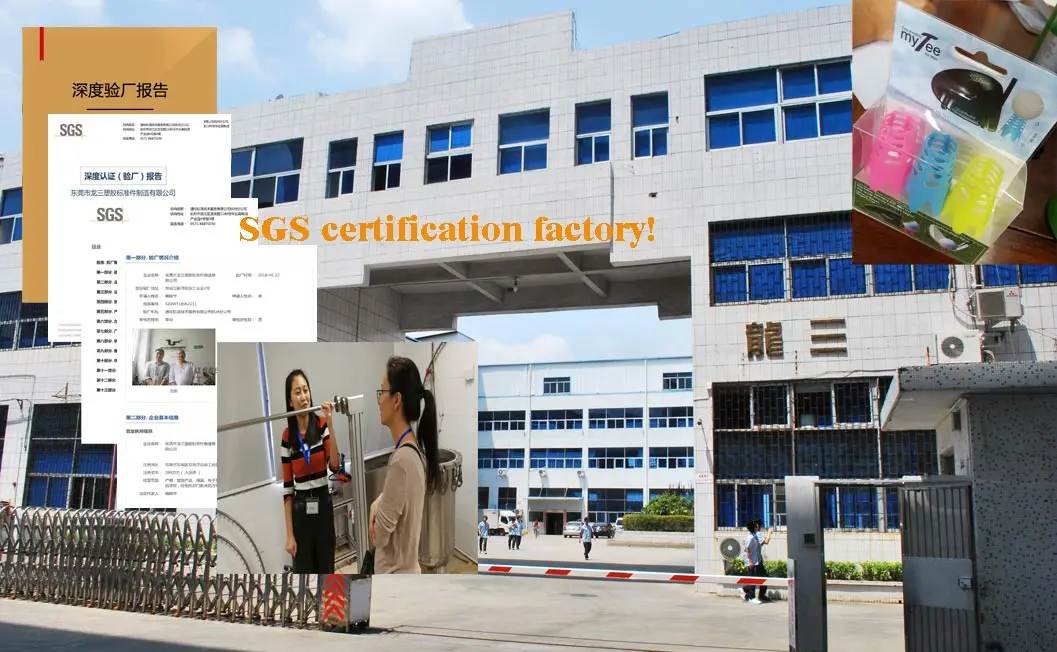 SGS-certification-factory