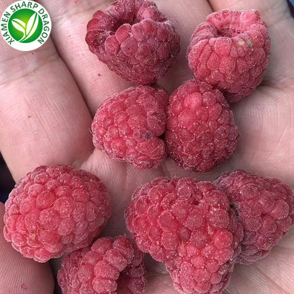 Iqf Bulk Organic Frozen Raspberries Price Buy Frozen Red Raspberries