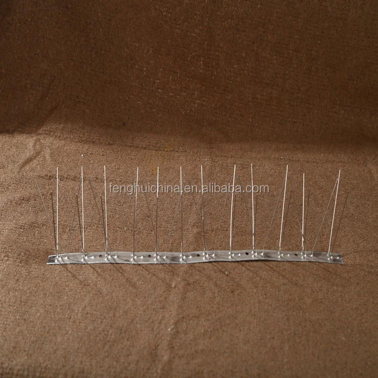 bird control spike1.JPG