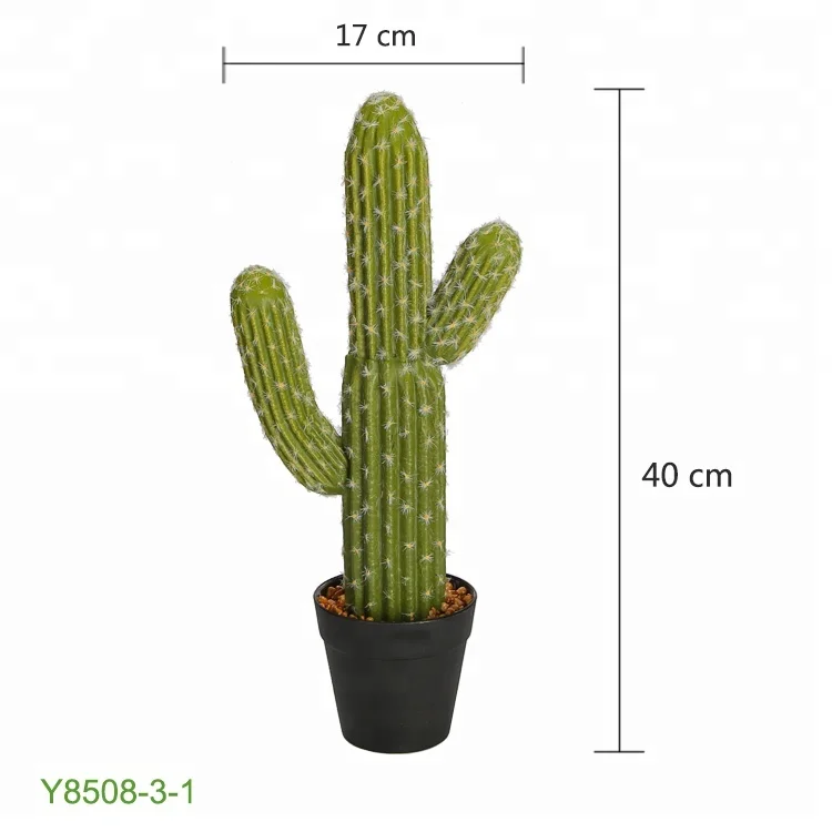 Small Cute 40cm Epe Plastic Cactus Plants For Home Furnishing Buy
