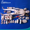 Full-functional Trauma Nursing Manikin,Trauma Evaluation Model