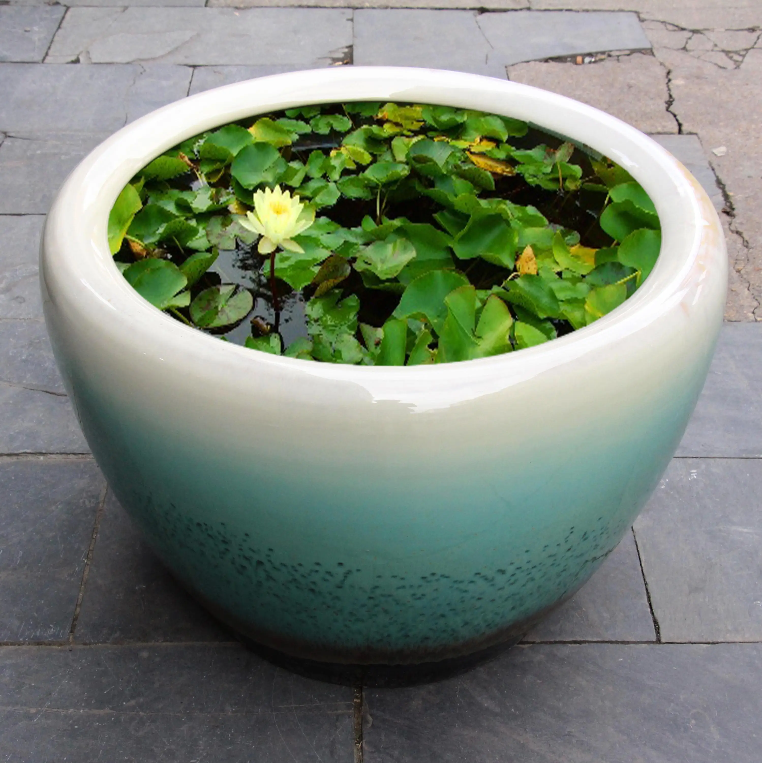 Home Decorative Porcelain Wholesale Fish Bowl Plant Pot Buy Home