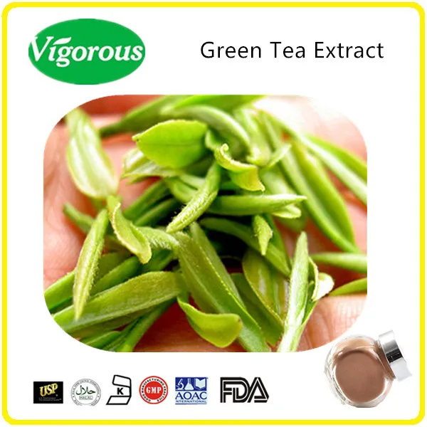 pure 20% Polyphenols Instant green tea powder / Instant green tea extract