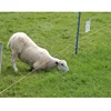 8 mm Portable Insulated Multi Wire Electric Fence Post