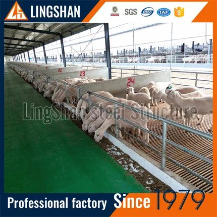 sheep house 1-4.png