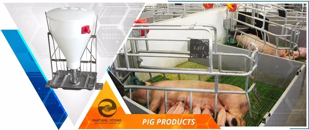 Semi-automatic Manual Drop Feedering System For Pig Feeding Equipment ...