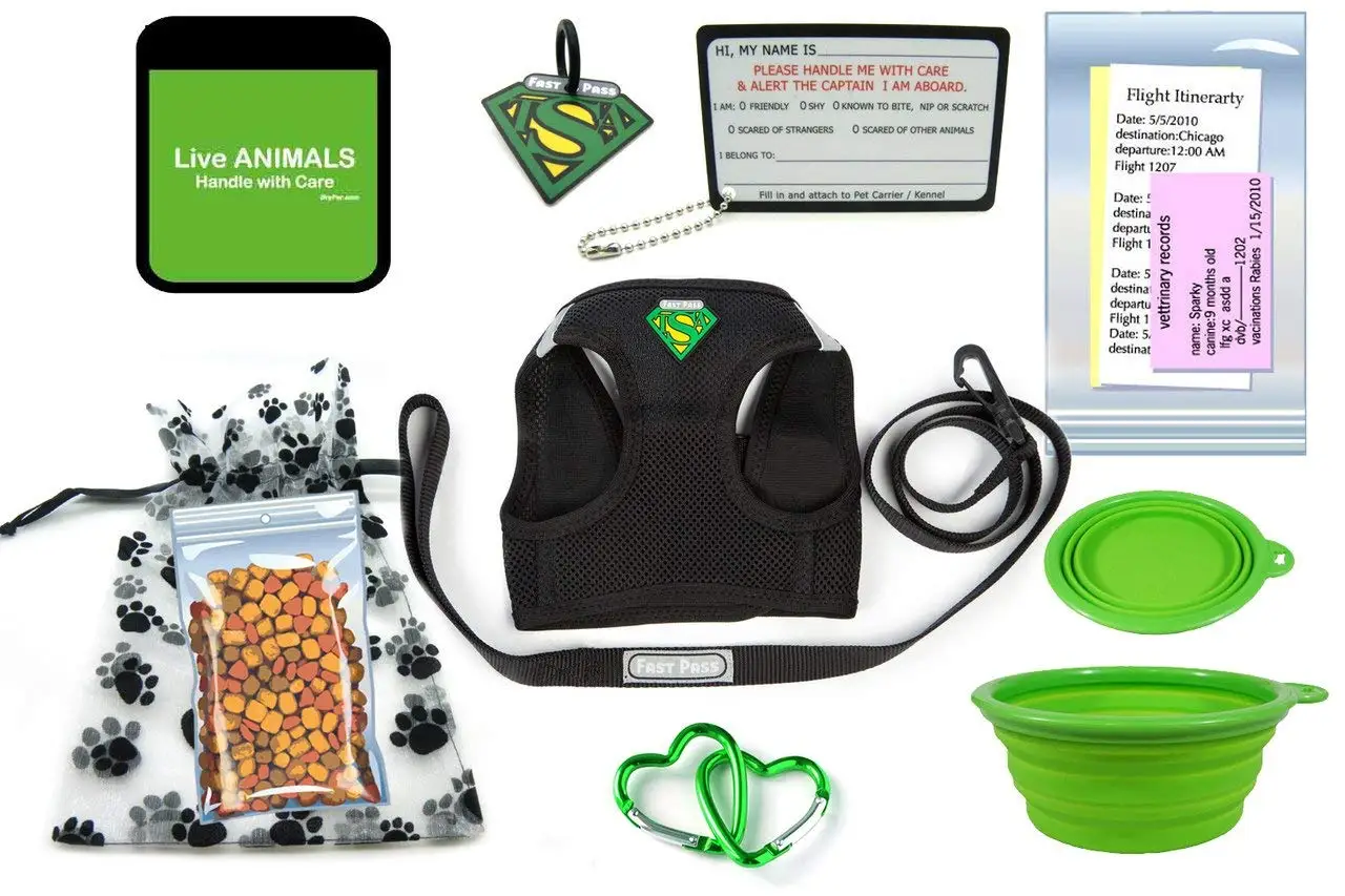 In Cabin Pet Airline Travel Accessory Kit-GREEN