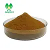Hot sale Dodder Seed powder Cuscuta Chinensis powder Cuscuta extract