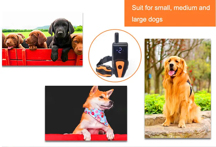 Ce Rohs Latest Pet Training Product Belt Shock Electronic Electr Small