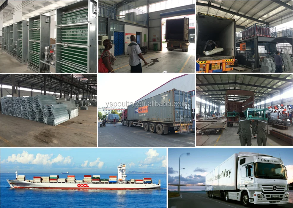 packing and shipping.png