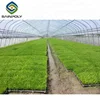 Cheap light deprivation tunnel greenhouse with climate control