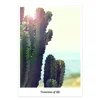 Bulk Wholesale Supplies Plant Cactus Painting Multi Panel Canvas Print Wall Art