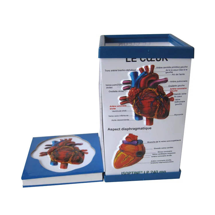 emmbossed pen holder (30)