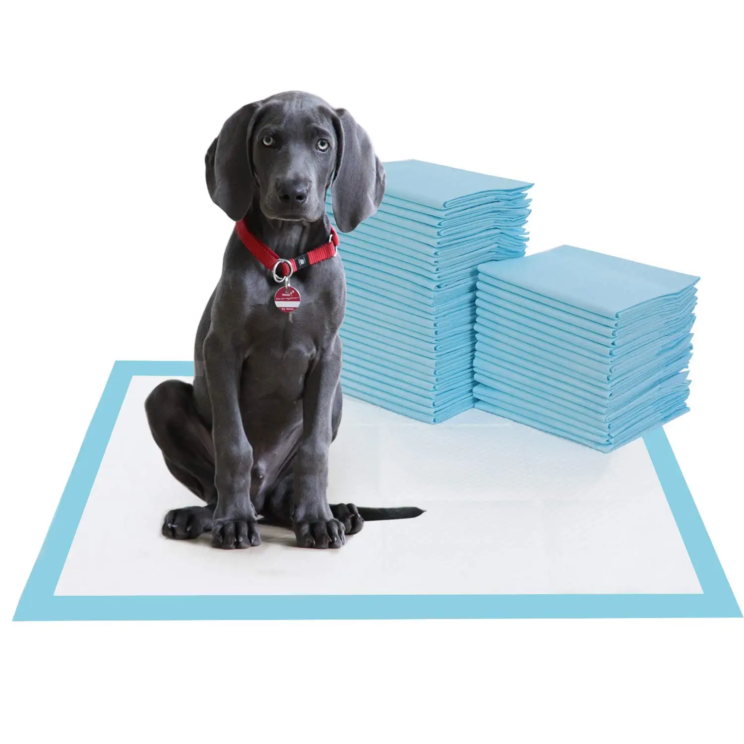Amazon Quality Disposable Customized Pet Dog Pee Puppy