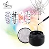2019 NEW Spider Gel Painting Gel Nail Art Line Silk Point Creative Pulling spider web gel Varnish