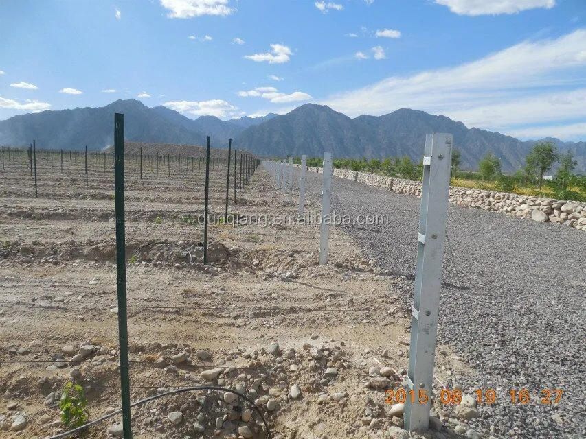 Vineyard Metal Post Grape Post Used In Farm Or Garden Buy Vineyard