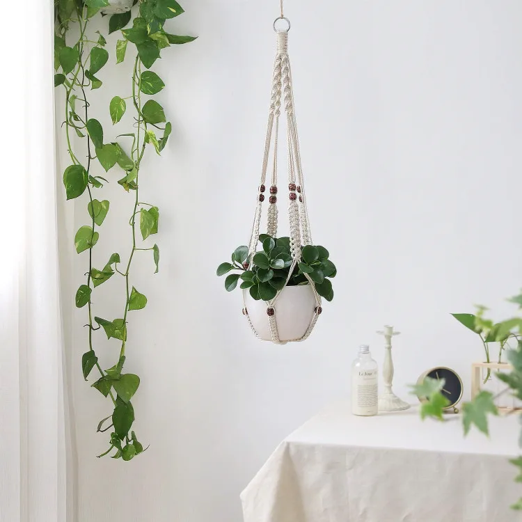 plant hanger32.jpg