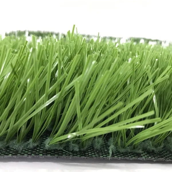 BLTT02 grass.jpg