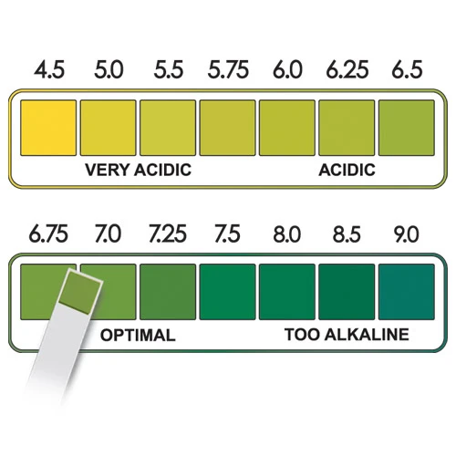 Glucose Urine Test Color Chart