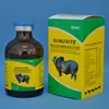 veterinary multivitamin and calcium supplements for cattle