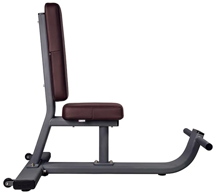 professional commercial fitness seated horizontal body master gym