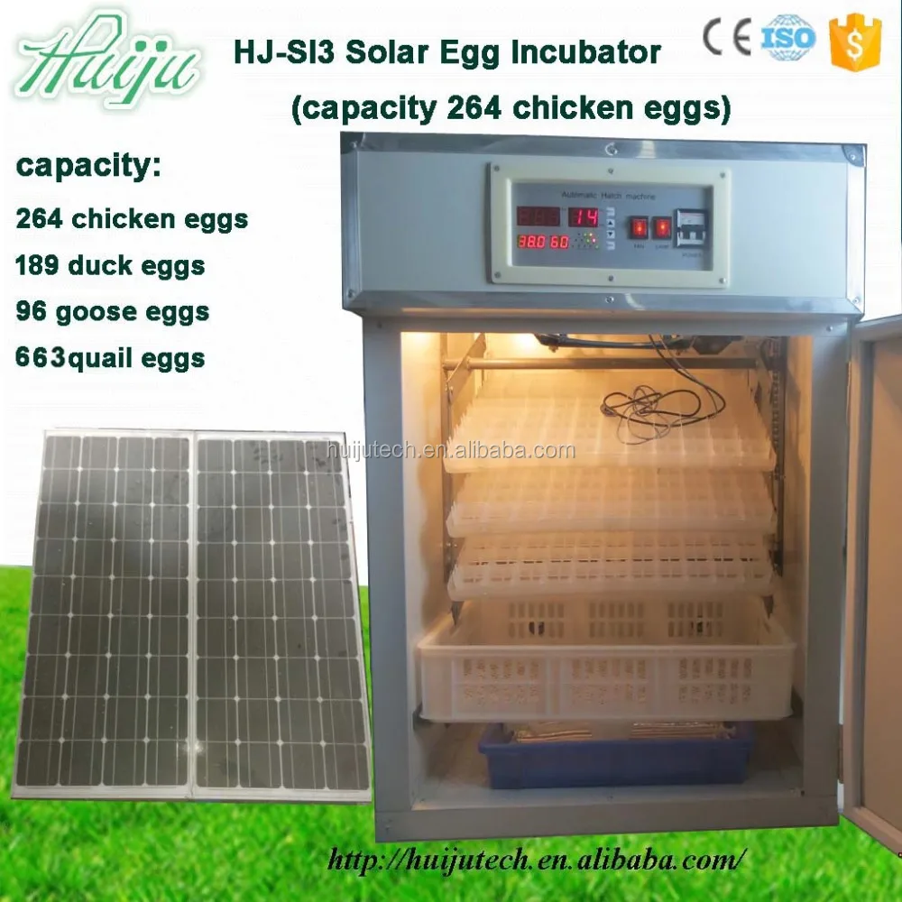 Solar Powered Automatic Egg Incubator Thailand Price Hj ...