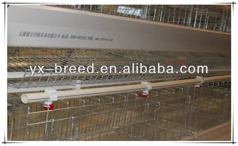 broiler battery cage system made in china for chicken pouultry farm