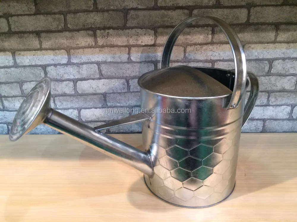 regadera de metal galvanizada Regadera de zinc de 5/ o 10/ l