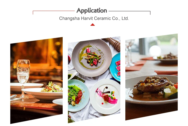 Porcelain-dinner (7).png