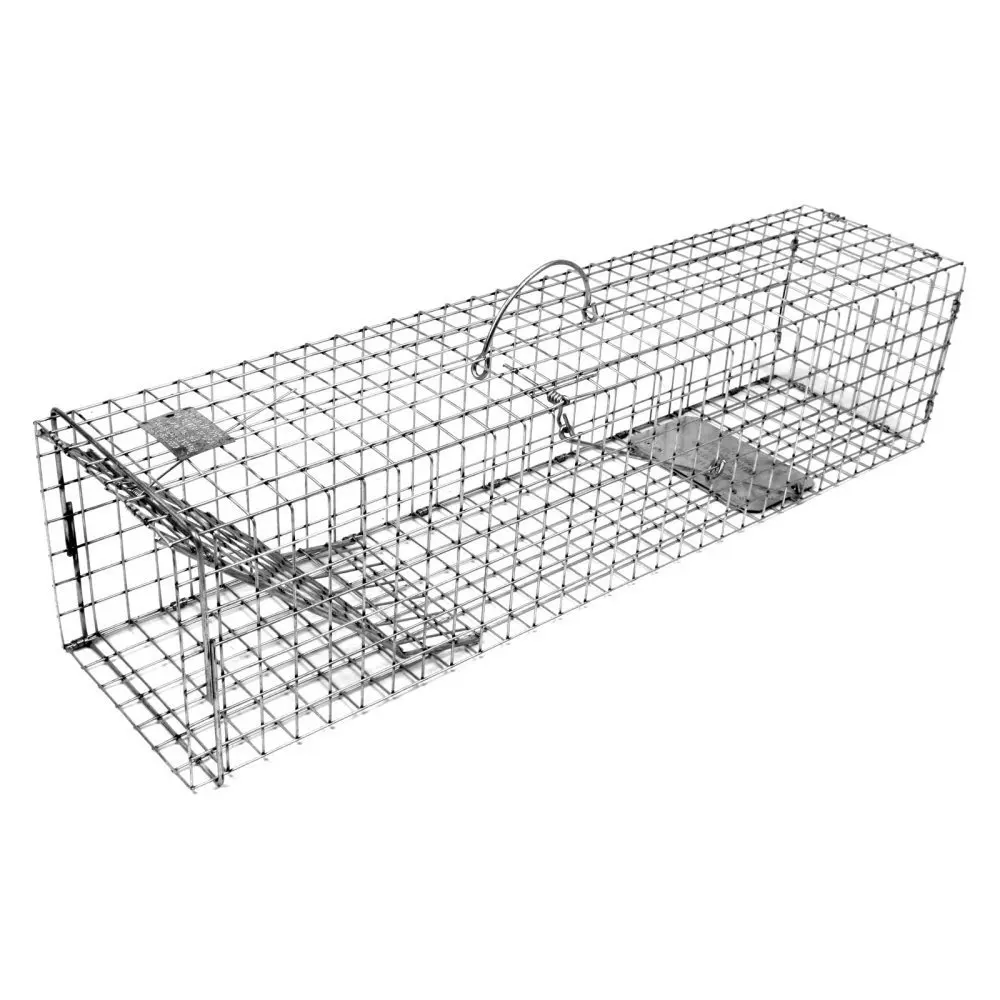 Cheap Live Trap Skunk, find Live Trap Skunk deals on line at Alibaba.com