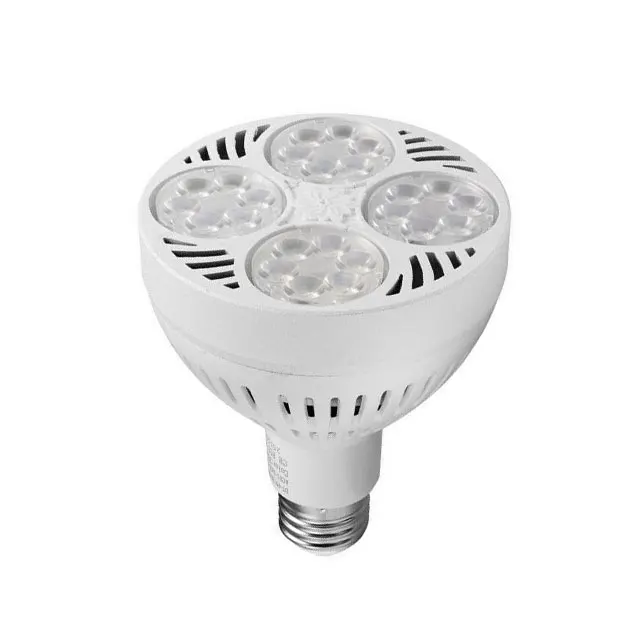 NEW Products Led Spotlight Par30 Jewelry Lighting Techniques Caro Light E27 30W 3 Years Warranty Alibaba Express China