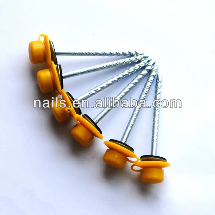 Roof Screw Nail For Corrugated Or Ibr Roofing Sheet In South Africa Buy Roof Screw Nail,Nail