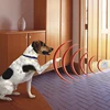 LCD display battery supply pet training home decoration production fencing for dog