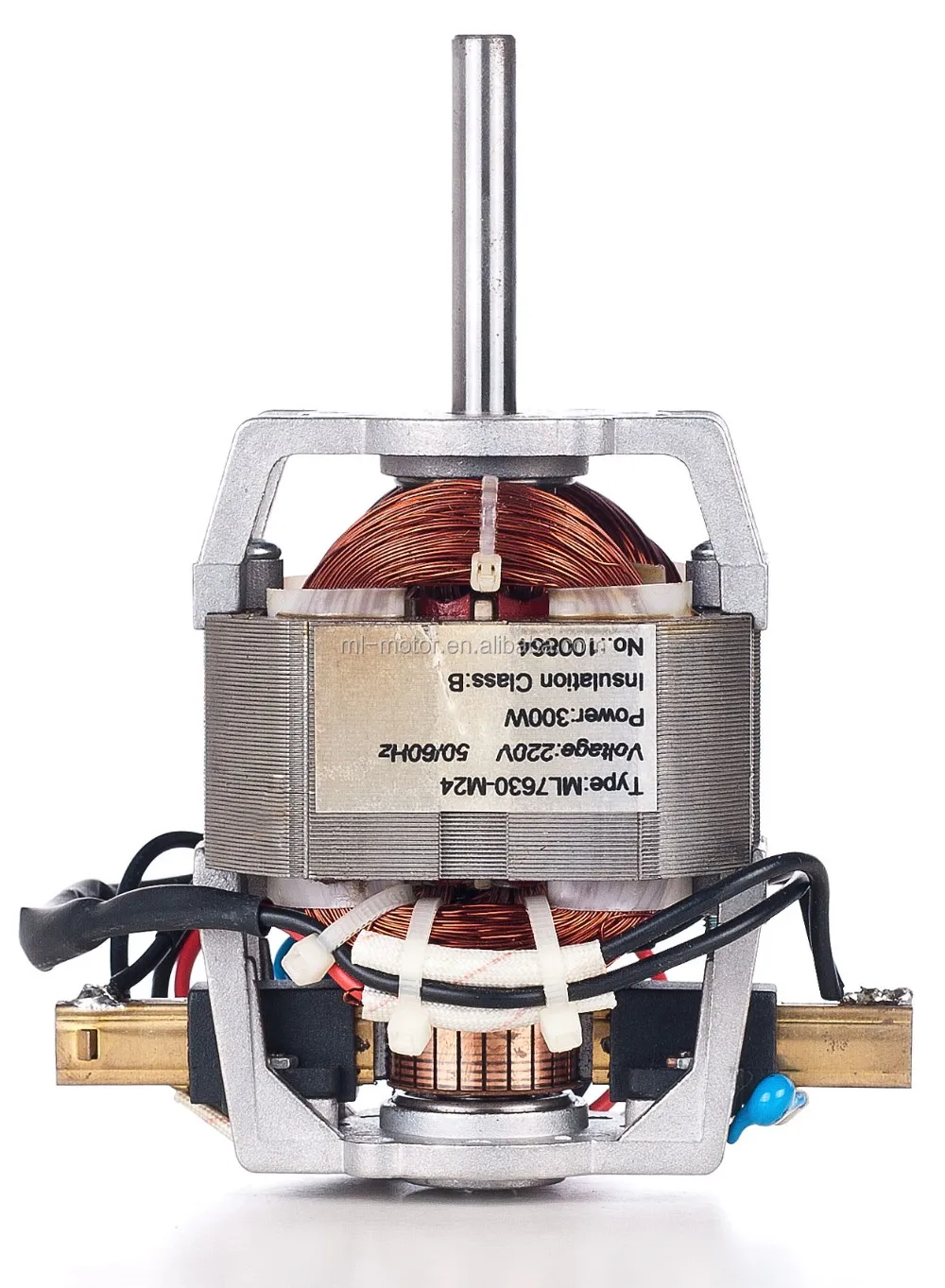 China Manufacturer 110v240v,100300w Ac Electric Series Juicer Motor