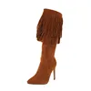 New design good quality latest winter nice long suede tassel Fashion fringed boots women 2019