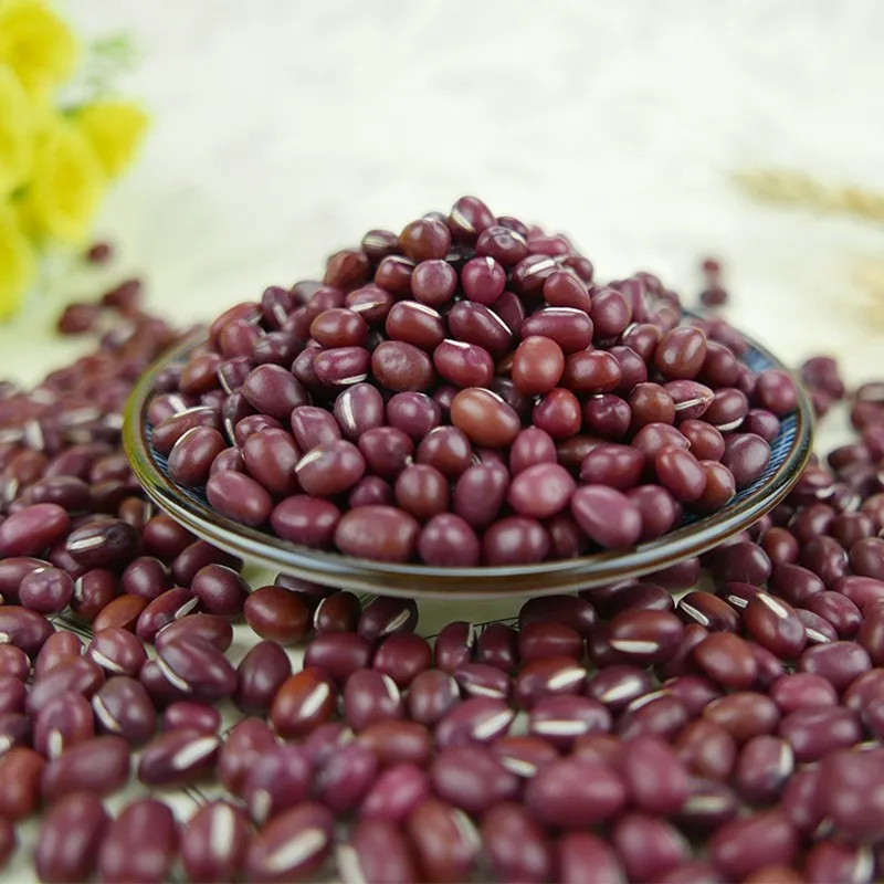 New Crop Small Red Beans Adzuki Beans, Common Red and Pearl Red