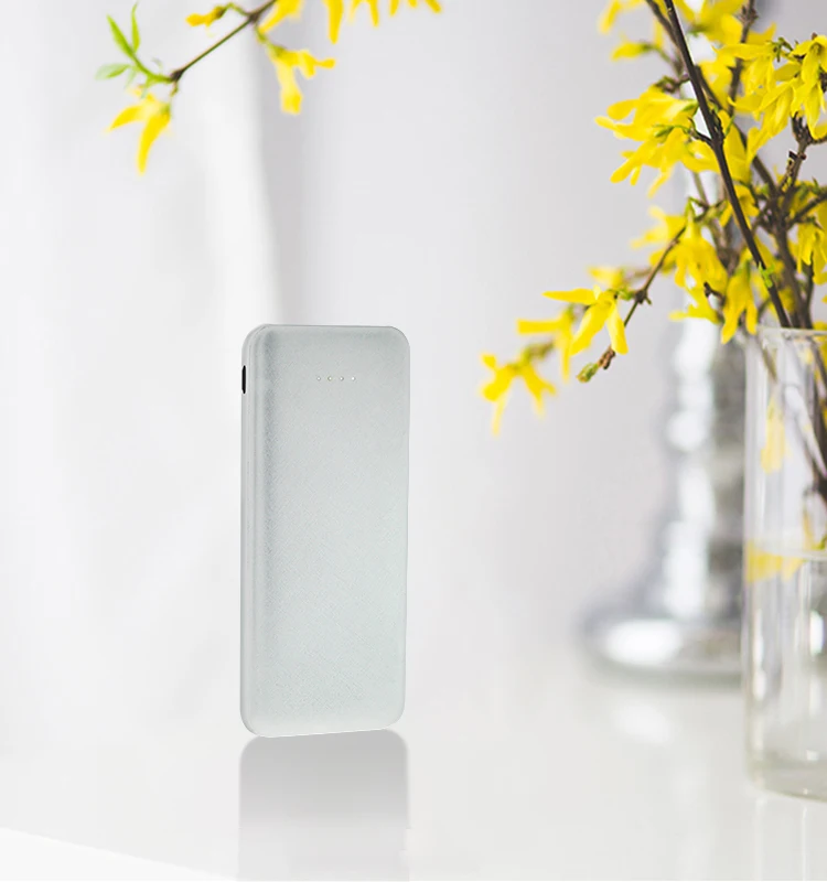 New style 5v mobile phone power bank - ANKUX.COM