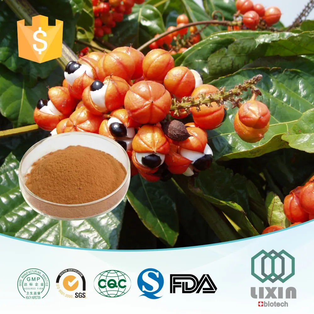 Guarana Nedir Guarana Nedir