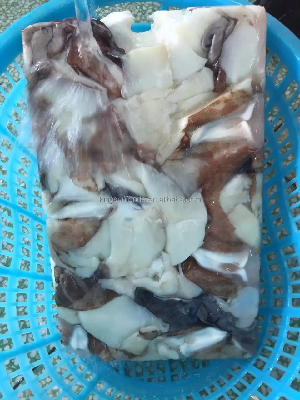 Frozen Giant Squid Neck Giant Squid Meat To Thailand - Buy Squid,Giant ...