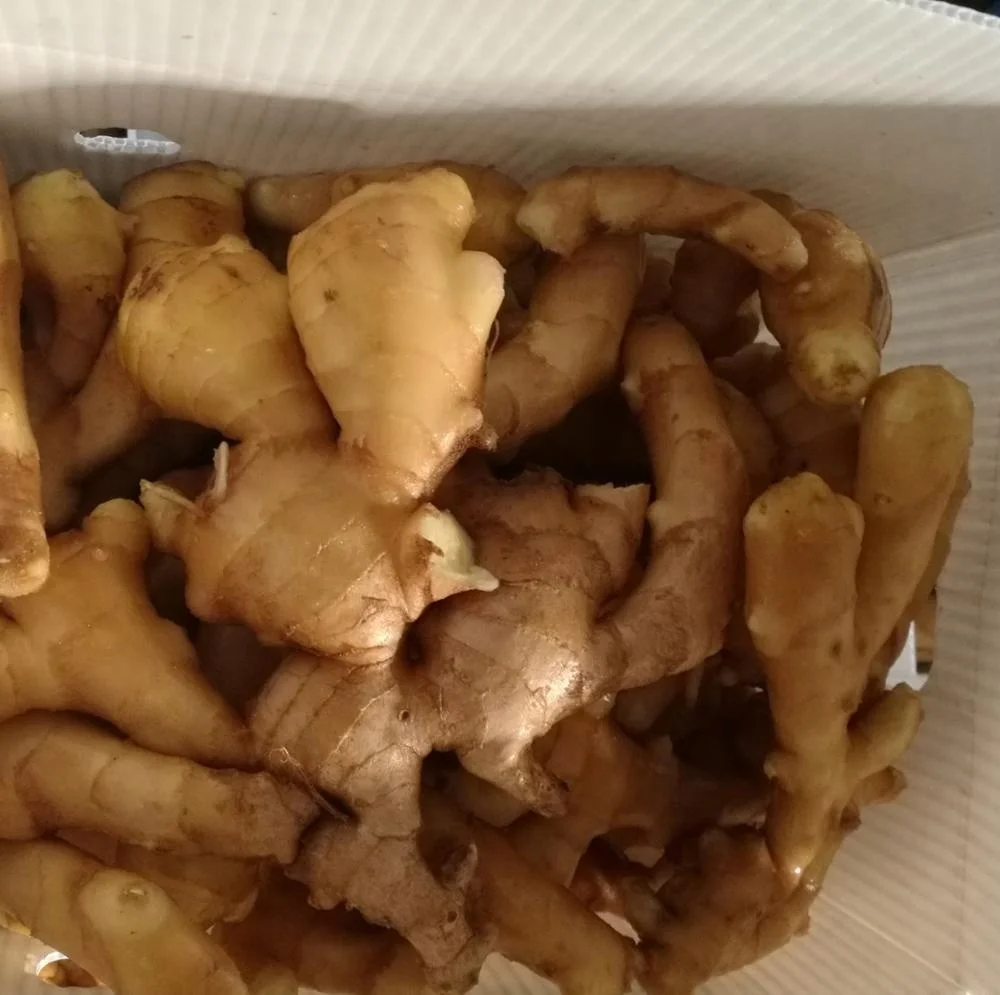 ginger-pvc packing.jpg