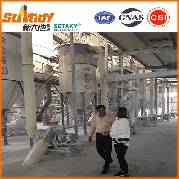 Cement Additive to Renders Vinyle Acetate Ethylene Polymer Powder