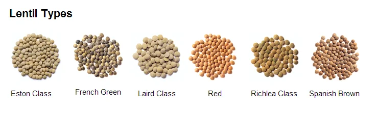 MTPS Lentil Peeling Machine Chickpeas Peeling Machine