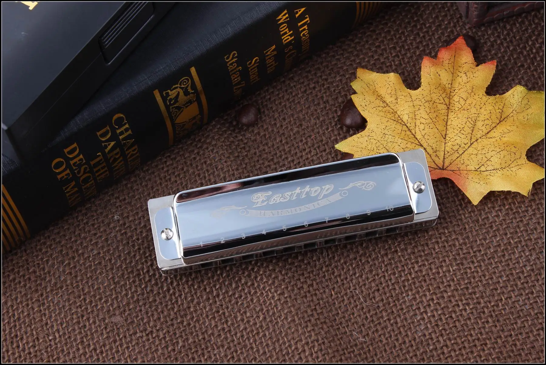 Easttop T006 Brass Comb Harmonica Mouth Organ C Metal Harmonica Oem