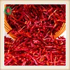 Paprika flakes red chilli slice
