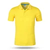 hot sell cheap mesh 100% polyester dry fit golf mens polo shirt for men